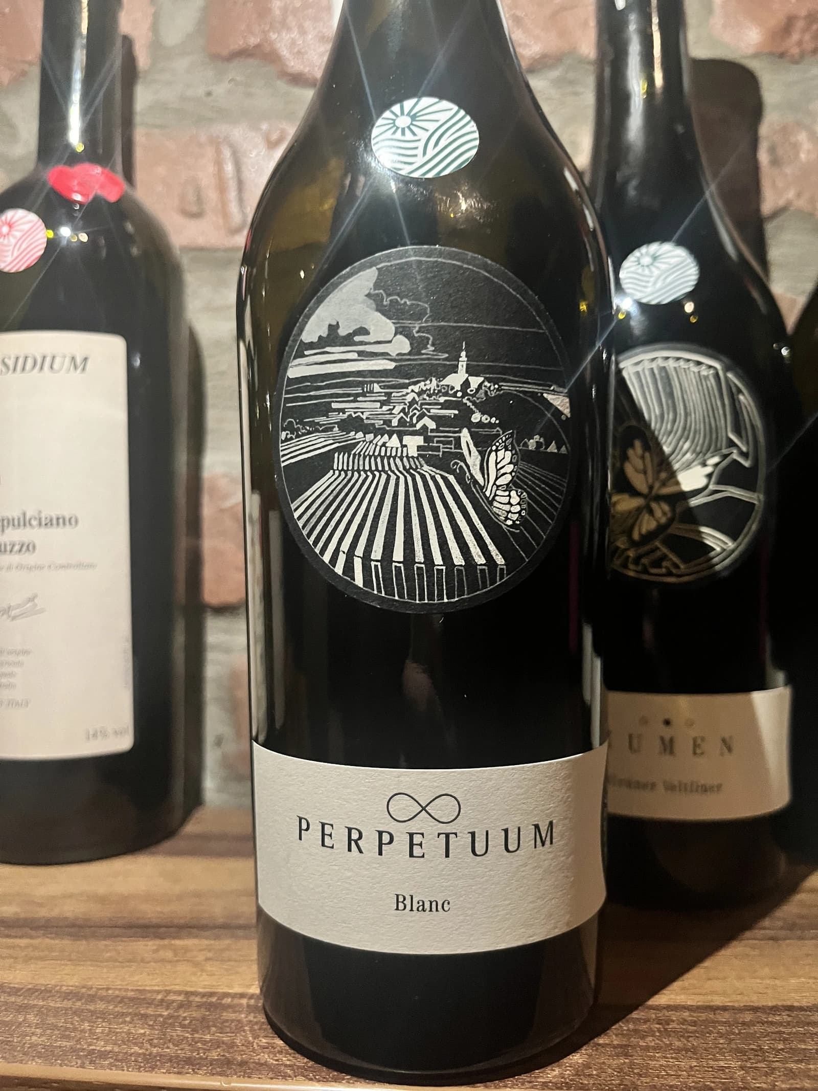 Johannes Zillinger Perpetuum Blanc 2017